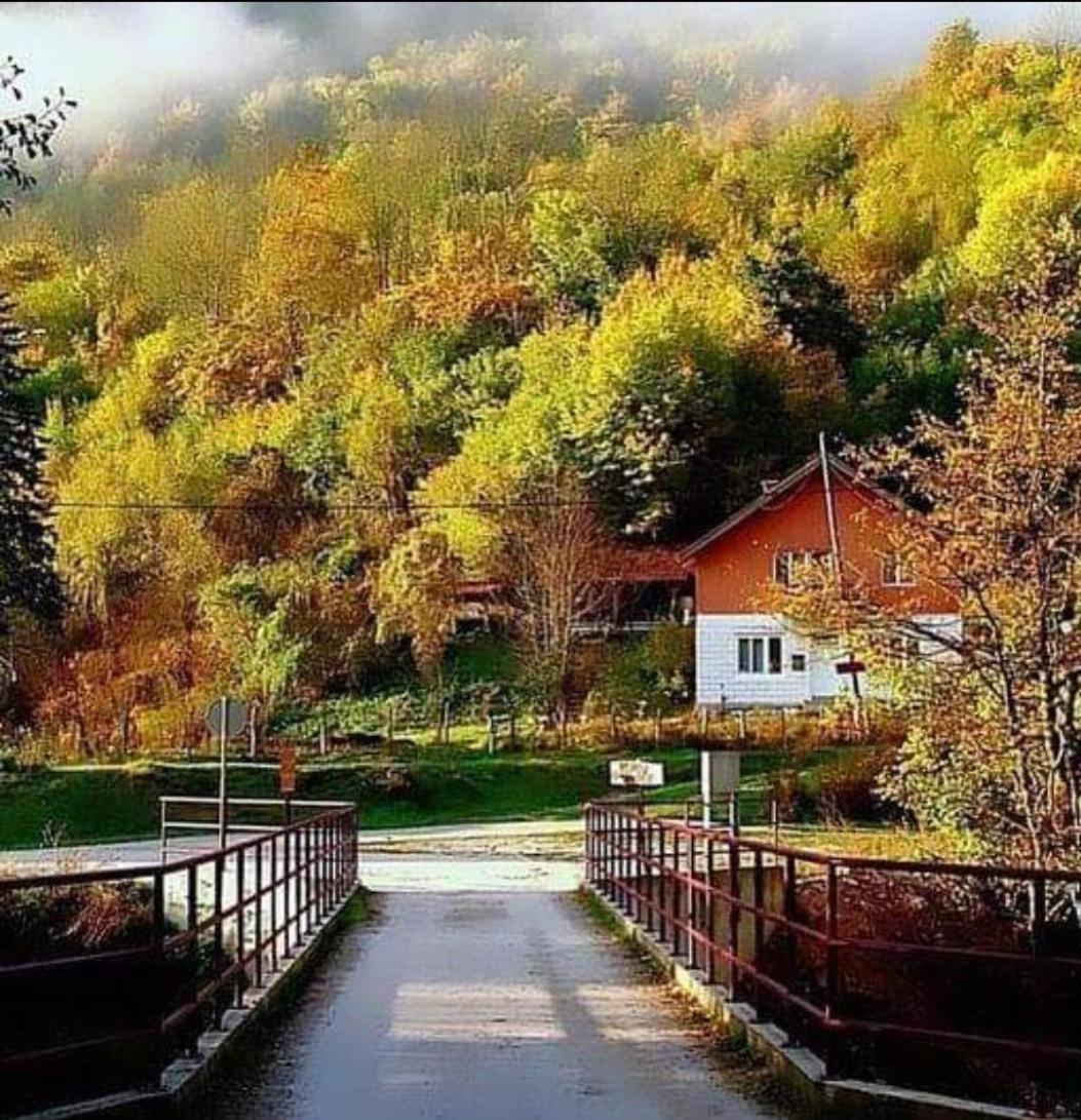 Turisticki Kompleks - Montana Tjentiste Luaran gambar