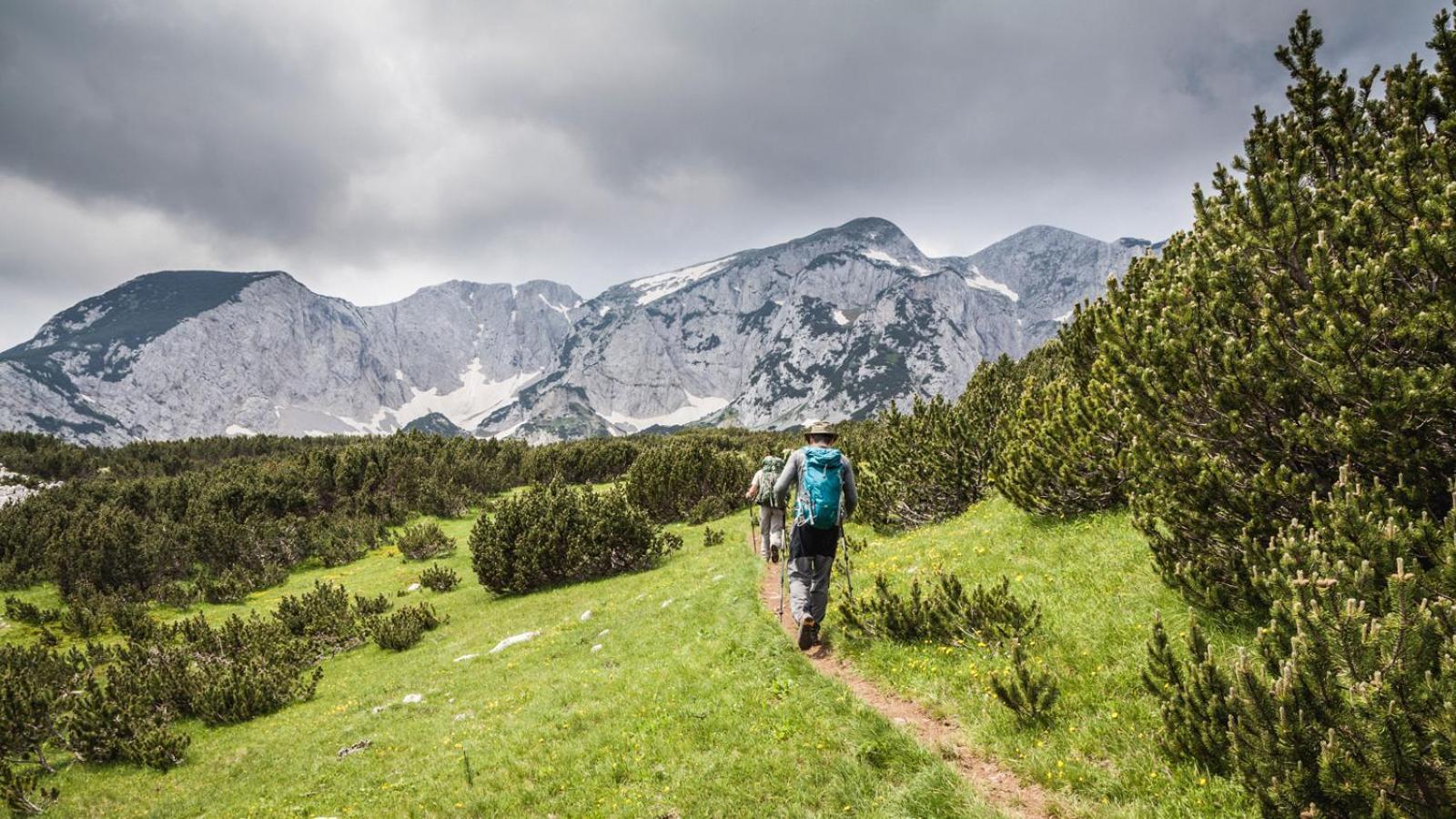 Turisticki Kompleks - Montana Tjentiste Luaran gambar
